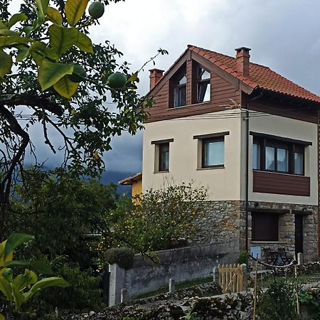 Vila El Palomar De Gueerres Colunga Exteriér fotografie